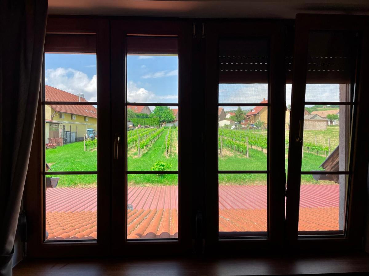 Mayer Pince Panzió Villány Esterno foto